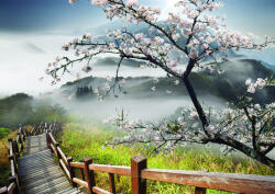 Consalnet Fa a hegyoldalban poszter, fotótapéta, Vlies (208 x 146 cm) (C1-12022VEXL)