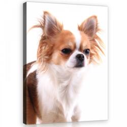 Consalnet Csivava, vászonkép, 40x60 cm méretben (C5-11378O4)