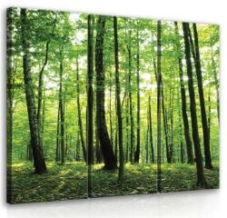 Consalnet Erdő, 3 darabos vászonkép, 90x80 cm méretben (C5-1128S6)