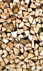 Dimex TIMBER LOGS fotótapéta, poszter, vlies alapanyag, 150x250 cm (MS-2-0161)