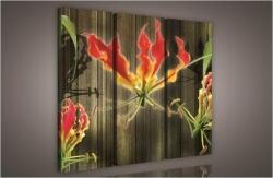 Consalnet Virág, 3 darabos vászonkép, 90x80 cm méretben (C5-873S6)