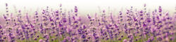 Dimex FABULOUS LAVENDER öntapadós konyhai poszter, 180x60 cm (KI-180-125)