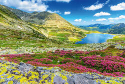 Dimex Vlies Fotótapéta - Stunning nature scenery - 375x250 cm (MS-5-1816)