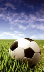 Dimex SOCCER BALL fotótapéta, poszter, vlies alapanyag, 150x250 cm (MS-2-0305)