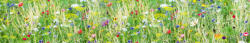 Dimex MEADOW WITH FLOWERS öntapadós konyhai poszter, 350x60 cm (KI-350-172)
