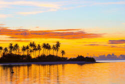 Dimex Vlies Fotótapéta - Palm trees - 375x250 cm (MS-5-3139)