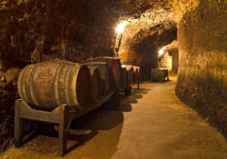 Sverus Fotótapéta Rustic Wine Cellar, 368 x 254 cm (SV-15802496WM-368X254CM)
