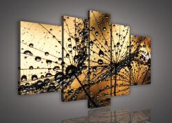 Consalnet Vászonkép, 5 darabos, Pitypang 170x100 cm méretben (C5-415S4A)