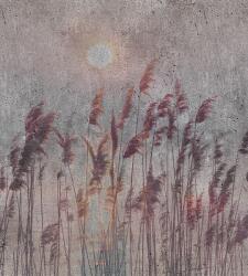 Dimex Nád fotótapéta, poszter, vlies alapanyag, 225x250 cm (MS-3-0358)