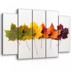 Consalnet Vászonkép, 5 darabos őszi levelek 150x100 cm méretben (C5-11719S12)