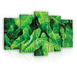 Consalnet Vászonkép 5 darabos, Pálma levél 100x60 cm méretben (C5-12371S17)