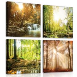 Consalnet Vászonkép 4 darabos, Erdő 50x50 cm méretben (C5-10818S20)