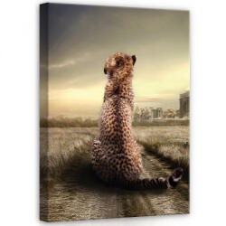 Consalnet Tigris, vászonkép, 50x70 cm méretben (C5-12521O7)