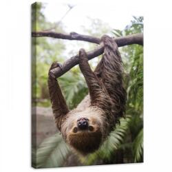 Consalnet Lajhár, vászonkép, 50x70 cm méretben (C5-11858O7)