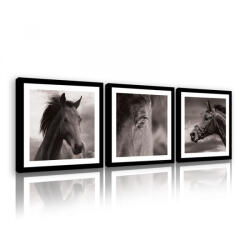Consalnet Vászonkép 3 darabos, Ló, 3 db 25x25 cm méret (C5-11274S13)