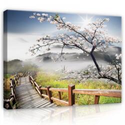 Consalnet Vászonkép, Ködös tájkép 80x60 cm méretben (C5-12022O6)