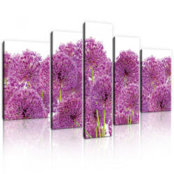 Consalnet Vászonkép, 5 darabos, Díszhagymák 170x100 cm méretben (C5-11398S4A)