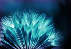 Consalnet Pitypang poszter, fotótapéta, Vlies (208 x 146 cm) (C1-256VEXL)