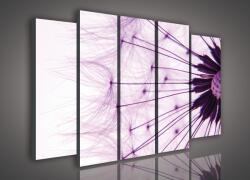 Consalnet Vászonkép, 5 darabos Pitypang 150x100 cm méretben (C5-980S12)