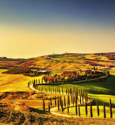 Dimex TUSCANY fotótapéta, poszter, vlies alapanyag, 225x250 cm (MS-3-0070)