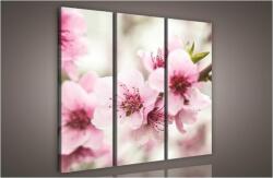 Consalnet Cseresznyevirág, 3 darabos vászonkép, 90x80 cm méretben (C5-962S6)