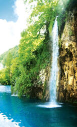 Dimex RELAX IN FOREST fotótapéta, poszter, vlies alapanyag, 150x250 cm (MS-2-0085)