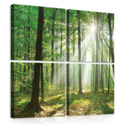 Consalnet Vászonkép 4 darabos, Erdő 50x50 cm méretben (C5-10329S20)