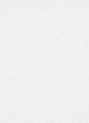 Erismann Fehér-világos szürke texturált tapéta (Collage 10383-14) (10383-14)