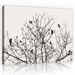 Consalnet Madarak a fán, vászonkép, 60x40 cm méretben (C5-11465O4)