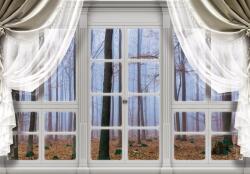 Consalnet Őszi erdőre néző ablak poszter, fotótapéta, Vlies (250 x 175 cm) (C1-10636VX5)