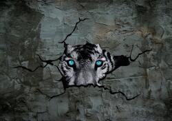 Consalnet Tigris poszter, fotótapéta, Vlies (104 x 70, 5 cm) (C1-2772VEM)