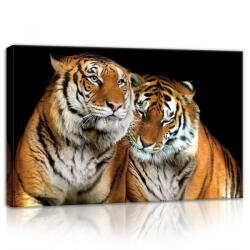 Consalnet Tigrisek, vászonkép, 60x40 cm méretben (C5-21403O4)