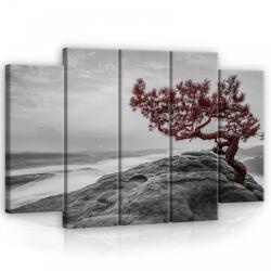 Consalnet Vászonkép, 5 darabos Fa a sziklán 150x100 cm méretben (C5-11771S12)