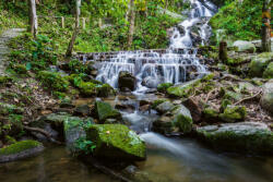 Dimex Vlies Fotótapéta - Beautiful waterfall - 375x250 cm (MS-5-3157)
