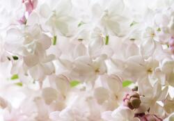 Consalnet Virágok poszter, fotótapéta Vlies (312 x 219 cm) (C1-3598VEXXL)