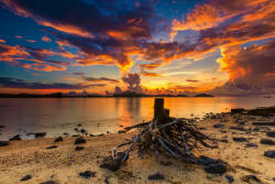 Dimex Vlies Fotótapéta - Golden sunrise - 375x250 cm (MS-5-3113)