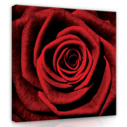 Consalnet Vörös rózsabimbó, vászonkép, 80x80 cm méretben (C5-13487O2)