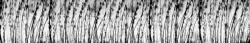 Dimex BLACK AND WHITE GRASS öntapadós konyhai poszter, 350x60 cm (KI-350-137)