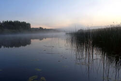 Dimex Vlies Fotótapéta - River in the predawn fog - 375x250 cm (MS-5-3054)