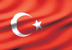 Consalnet Zászló poszter, fotótapéta, Vlies (152, 5 x 104 cm) (C1-489VEL)