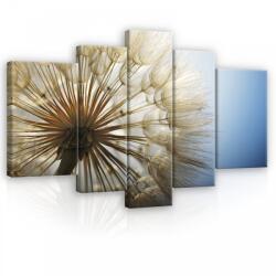 Consalnet Vászonkép, 5 darabos, Pitypang 170x100 cm méretben (C5-11792S4A)