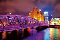 Dimex SHANGHAI fotótapéta, poszter, vlies alapanyag, 375x250 cm (MS-5-0022)