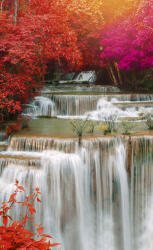 Dimex RAIN FOREST fotótapéta, poszter, vlies alapanyag, 150x250 cm (MS-2-0072)