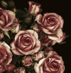 Dimex Vlies Fotótapéta - Flowers Bouquet Background - 375x250 cm (MS-5-1400)