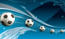 Consalnet Focis poszter, fotótapéta, Vlies (416 x 254 cm) (C1-3385VEXXXL)