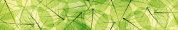 Dimex LEAF VEINS öntapadós konyhai poszter, 350x60 cm (KI-350-048)