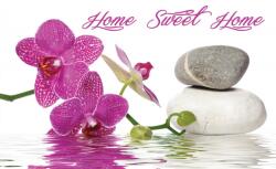 Consalnet Orchidea poszter, fotótapéta Vlies (254 x 184 cm) (C1-786V4)