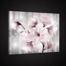 Consalnet Vászonkép, Magnólia design, 100x75 cm méretben (C5-2513O1)
