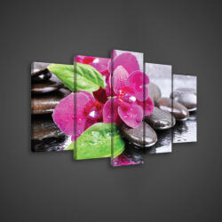 Consalnet Vászonkép 5 darabos, Rózsaszín orchidea köveken 100x60 cm méretben (C5-20024S17)