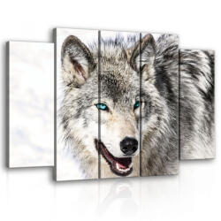 Consalnet Vászonkép, 5 darabos Farkas 150x100 cm méretben (C5-2075S12)